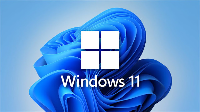 Windows 11 Logo with Wallpapera