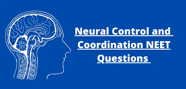 Neural Control and Coordination NEET Questions