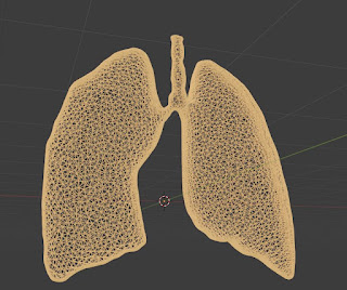 Lungs wire free 3d models fbx blend