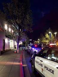 Alleged vandal used Portland security guard as human shield, police say