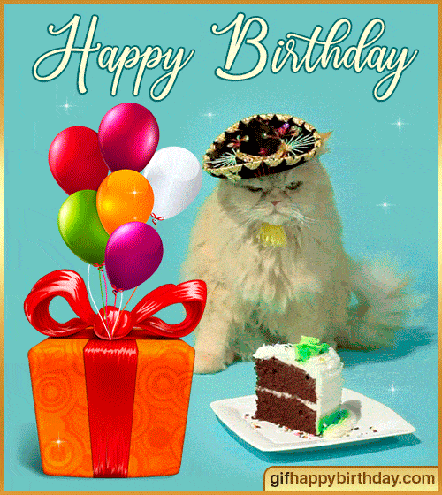 happy birthday cat gif 2022