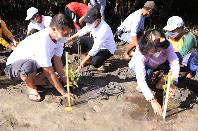  Bupati Suwirta Pimpin Penanaman Bibit Sebagai Upaya Memperindah Kawasan Mangrove di Nusa Ceningan dan Lembongan