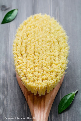 Natural bristled brush for use in dry brushing
