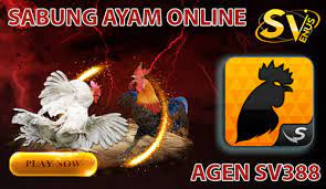Bandar Taruhan Ayam Sabung Online sv388 Terbesar dan Teranyar Siaran
Langsung | Palopo