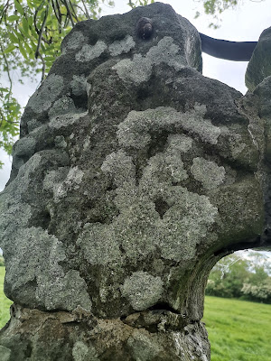 Tihilly High Cross