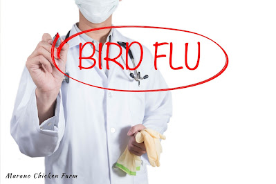 person in lab coat and mask with word Bird Flu in red