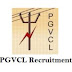 PGVCL Junior Programmer Recruitment 2021