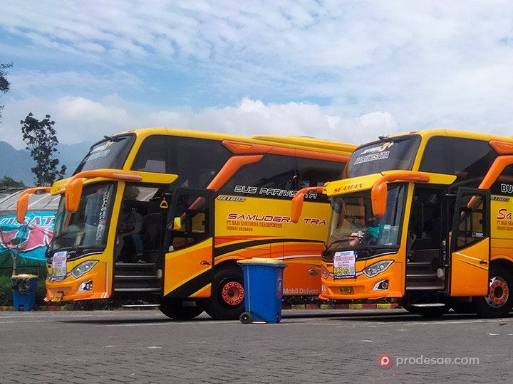 Bus pariwisata Samudera Trans