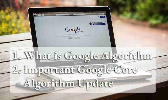 What is Google Algorithm? Some important Updates of Algorithm