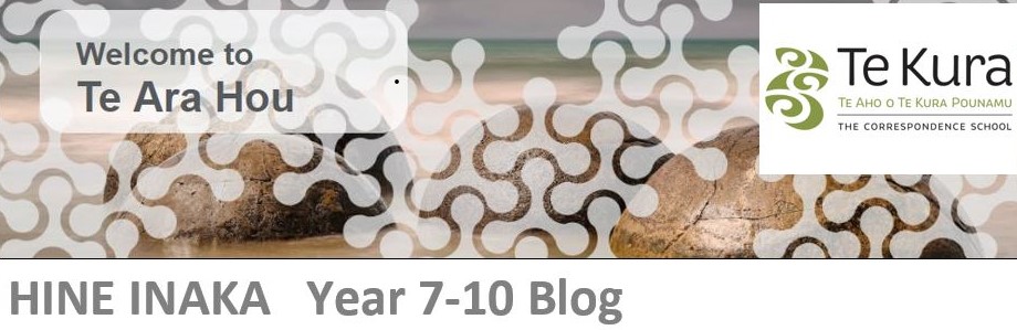 Hine Inaka Year 7-10 Blog