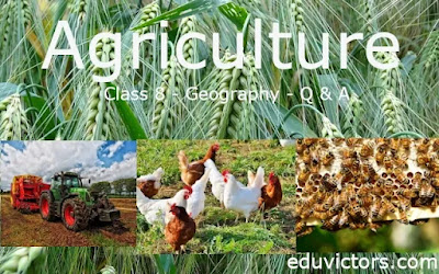CBSE Class 8 - Geography - Agriculture (Questions and Answers) #class8Geography #cbseClass8 #agriculture #eduvictors