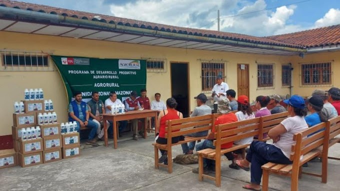 Entregan insumos agrícolas para recuperar cultivos afectados por lluvias en Amazonas