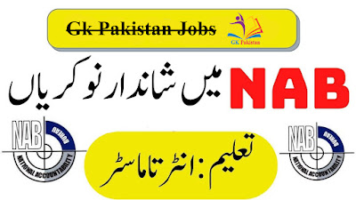 National Accountability Office NAB Jobs 2022 Download Application Form