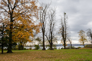 Naturfotografie Schwielowsee Havel Schloss Petzow