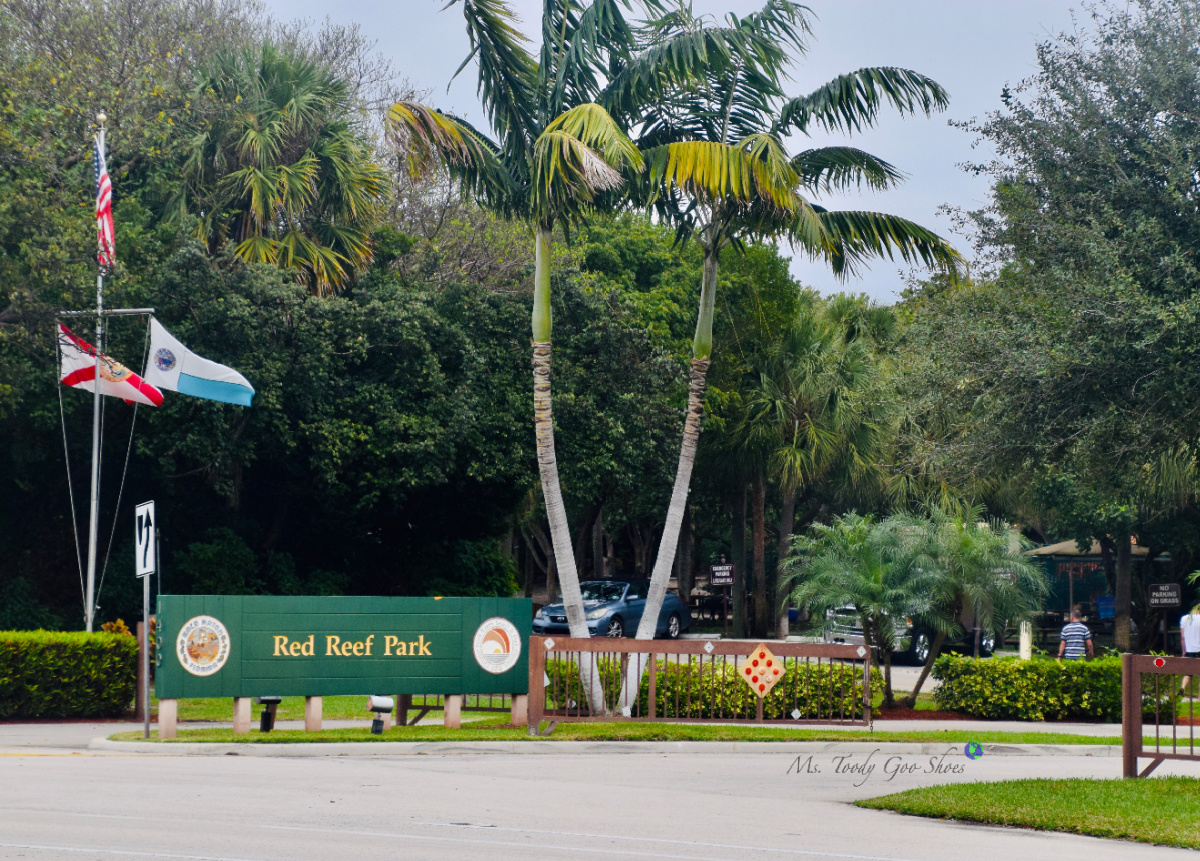 South Florida's Red Reef Park | Ms. Toody Goo Shoes