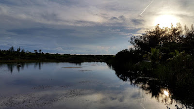 Sunset over still water pond