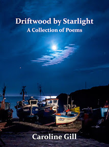 Driftwood by Starlight (poetry collection)