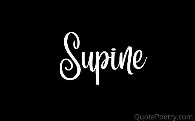 Supines word image