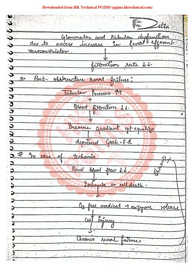 Renal Diseases - Pathophysiology Notes