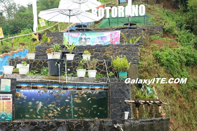 aquarium Botorono Petarangan Kledung Temanggung