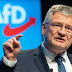 Germany: Meuthen no longer wants to run as head of the AfD