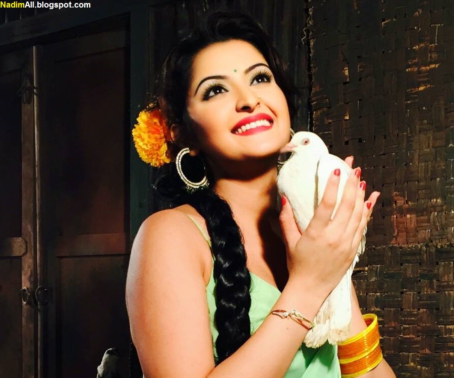 porimoni-hot-2015