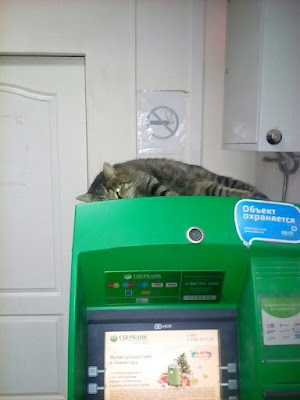 охрана банкоматов, фото