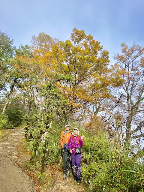 太平山山毛櫸步道