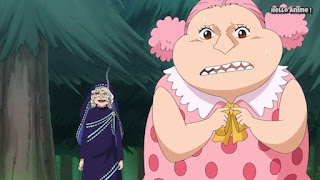 ワンピースアニメ WCI編 836話 | ONE PIECE ビッグ・マム 幼少期 エルバフ Linlin Childhood