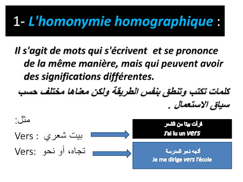  أساسيات بناء الجمل في اللغة الفرنسية وتجاوز مشكلة الفردات المتشابهة المتطابقة