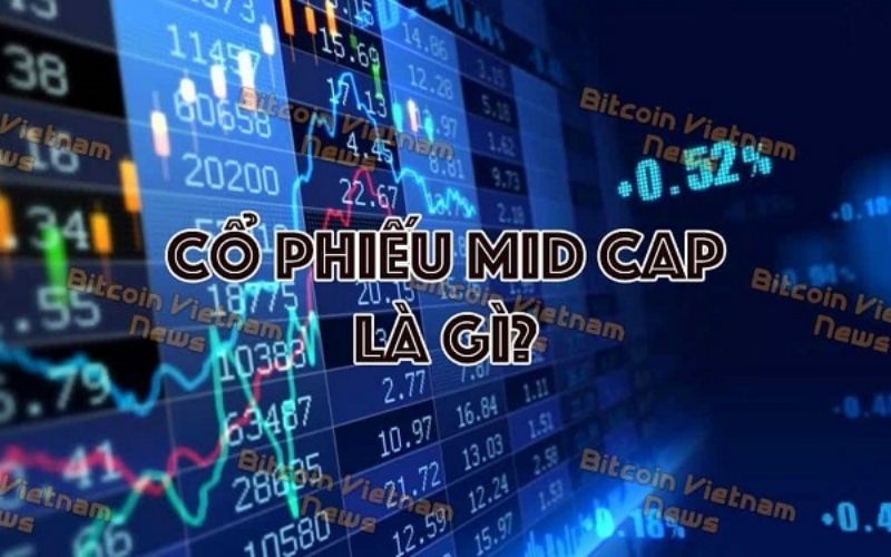 Một số tiềm năng của cổ phiếu Midcap là gì?