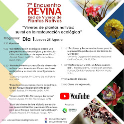 PROGRAMA DIA 1