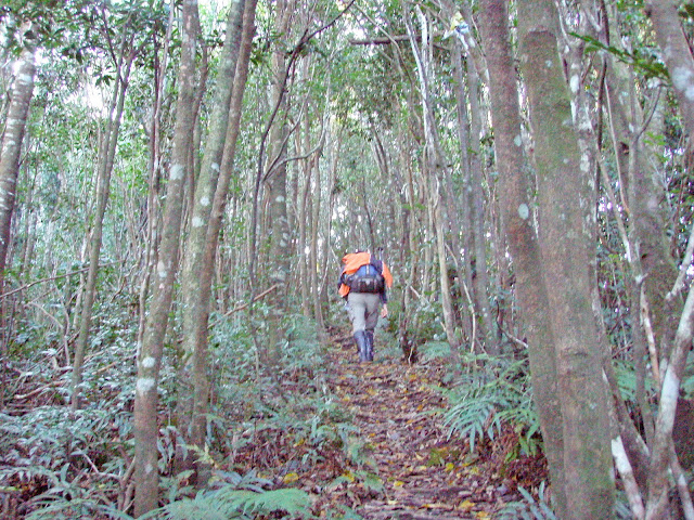 往內鳥嘴山