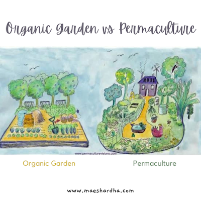 permaculture sustainable living