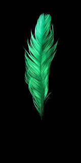 Green Gradient wings Amoled Hd wallpapers