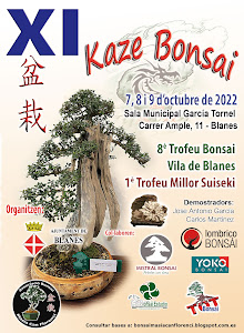 XI KAZE BONSAI