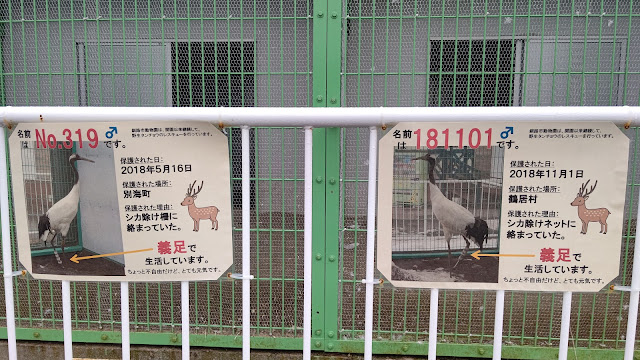 北海道 道東 釧路市動物園