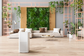 Indoor air quality and purifier