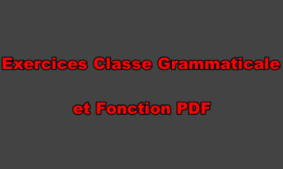 Exercices Classe Grammaticale et Fonction PDF