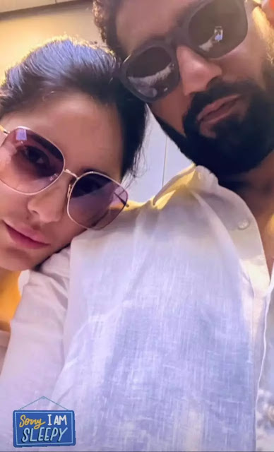 Katrina Kaif shares a picture of herself with Vicky Kaushal on her Instagram stories