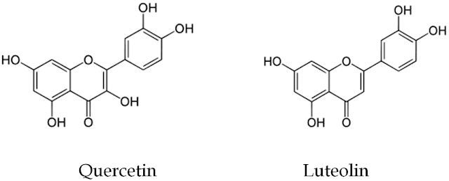 Luteolin vs Quercetin