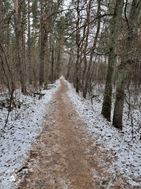 szlaki turystyczne Mazowsza