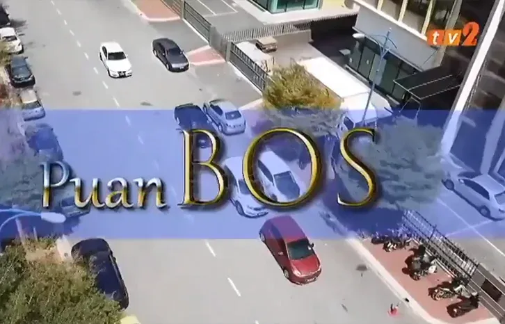 Telefilem Puan Bos TV2