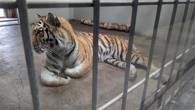 北海道 道東 釧路市動物園