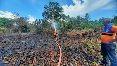Karhutla Mengancam, Puluhan Hektare Lahan di Mempawah Terbakar