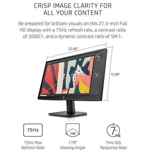 HP V222vb 1080p FHD VA Display Monitor