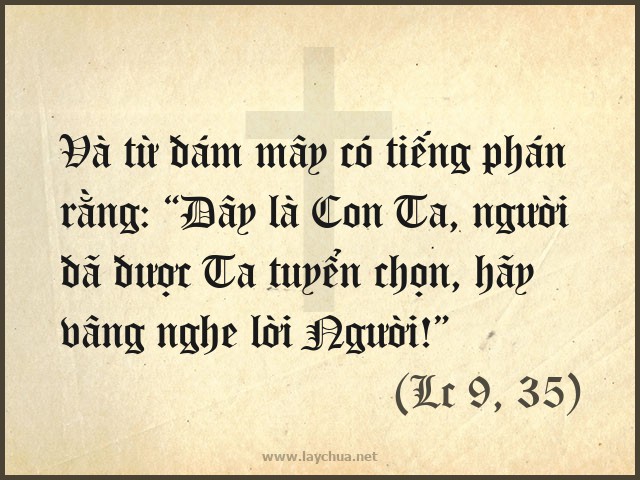 Và từ đám mây có tiếng phán rằng: “Ðây là Con Ta, người đã được Ta tuyển chọn, hãy vâng nghe lời Người!” (Lc 9, 35)