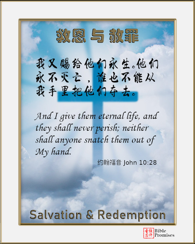 约翰福音 John 10:28 | Bible Promises