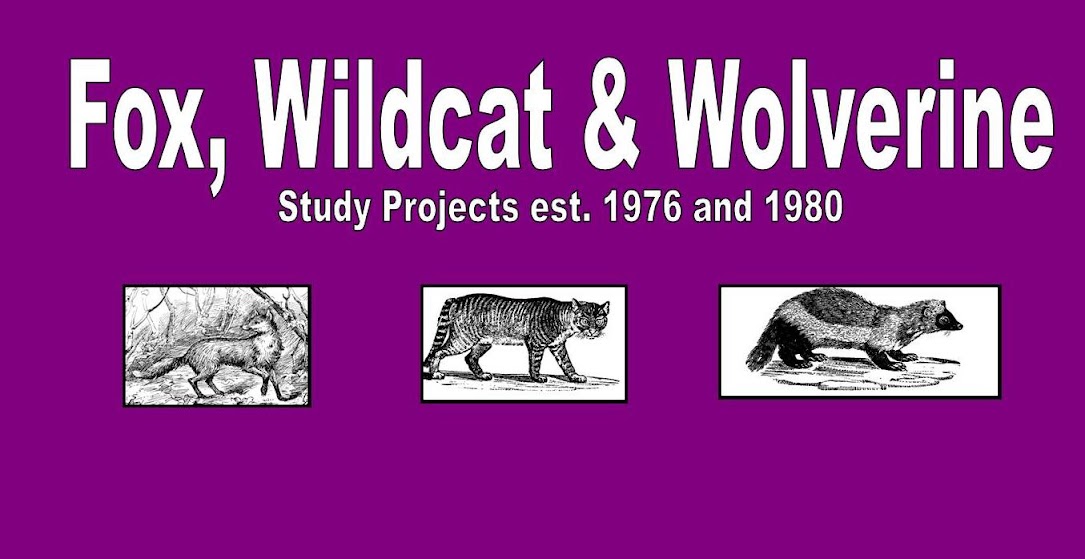 Fox Wild Cat and Wolverine Study Project