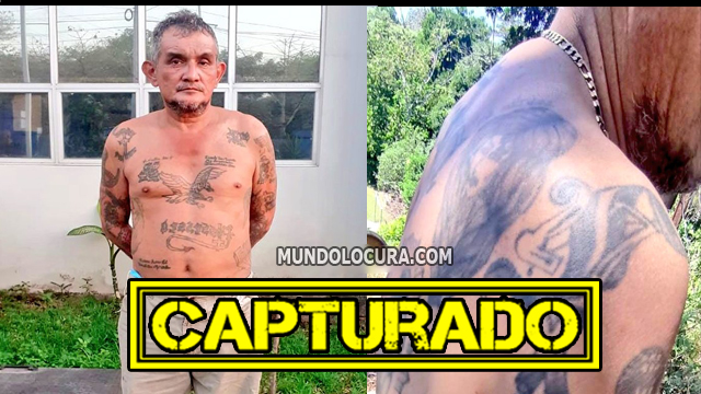 El Salvador: Capturan a alias «El Conejo», veterano pandillero fue detenido en el cantón Piedra Grande, Zacatecoluca